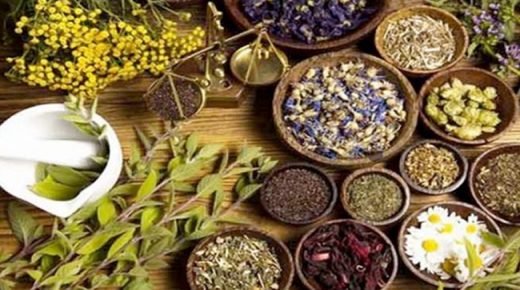 أنواع النباتات الطبية الهامة لصحة الجسم