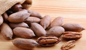 فوائد البقان