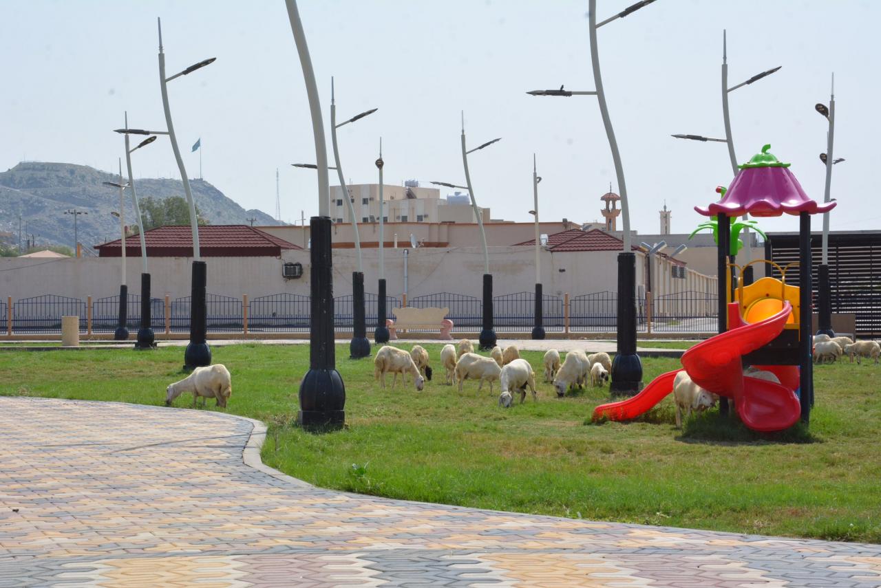 1A8A0F9D-0717-4BC9-A715-33F8D8C0D844