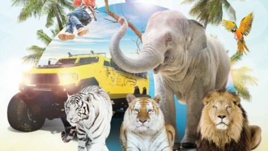 RS_Directory140-00-390×220-1