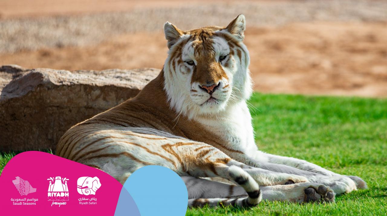 -السيلفي-مع-الحيوانات-النادرة-في-رياض-سفاري