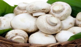 تفسير حلم مشاهدة نبات الفطر في المنام