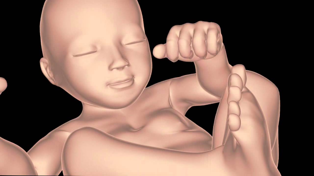 الأسبوع التاسع والعشرين من الحمل