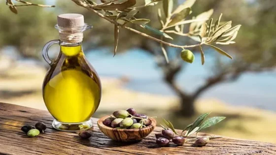فوائد الزيتون للجسم والصحة