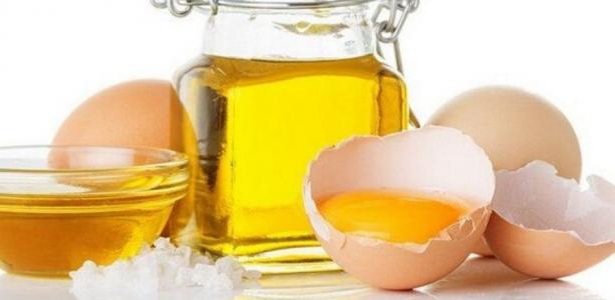خلطة صفار البيض مع الزيتون للشعر