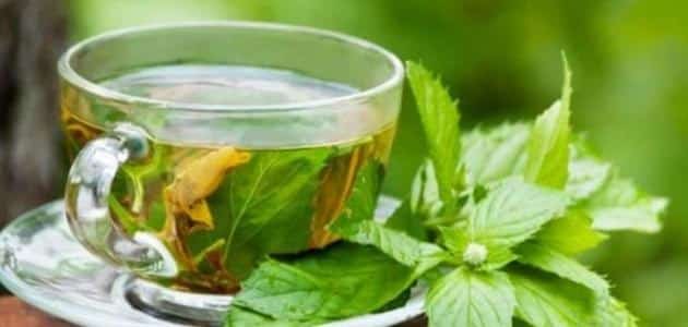  فوائد الشاي الأخضر