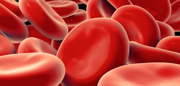 علاج فقر الدم بالطب التقليدي