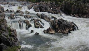 ما تفسير حلم النهر وهدير النهر؟