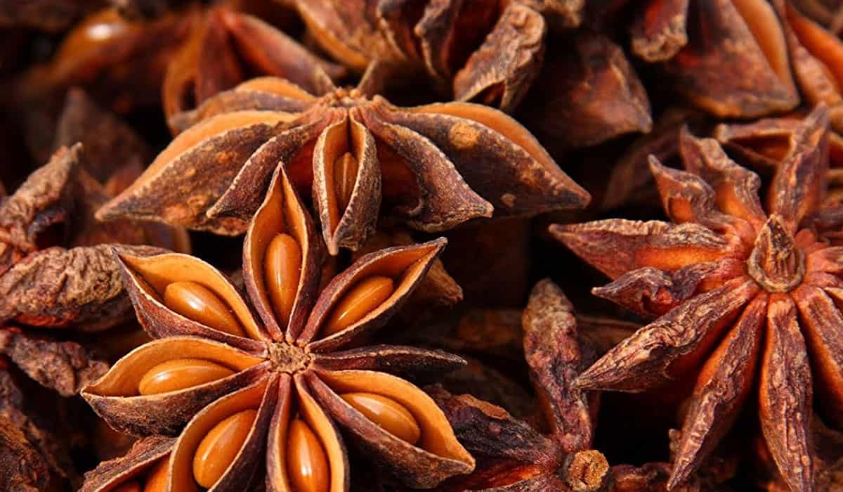 تجربتي مع اليانسون النجمي