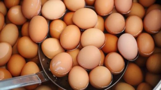 تفسير رؤية البيض في المنام