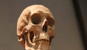 تفسير حلم الجمجمة وتفسيراته المختلفة
