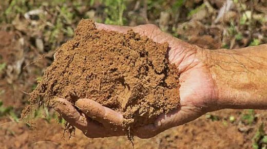 تفسير رؤية الطين في المنام