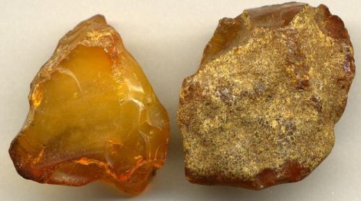 تفسير رؤية العنبر في المنام