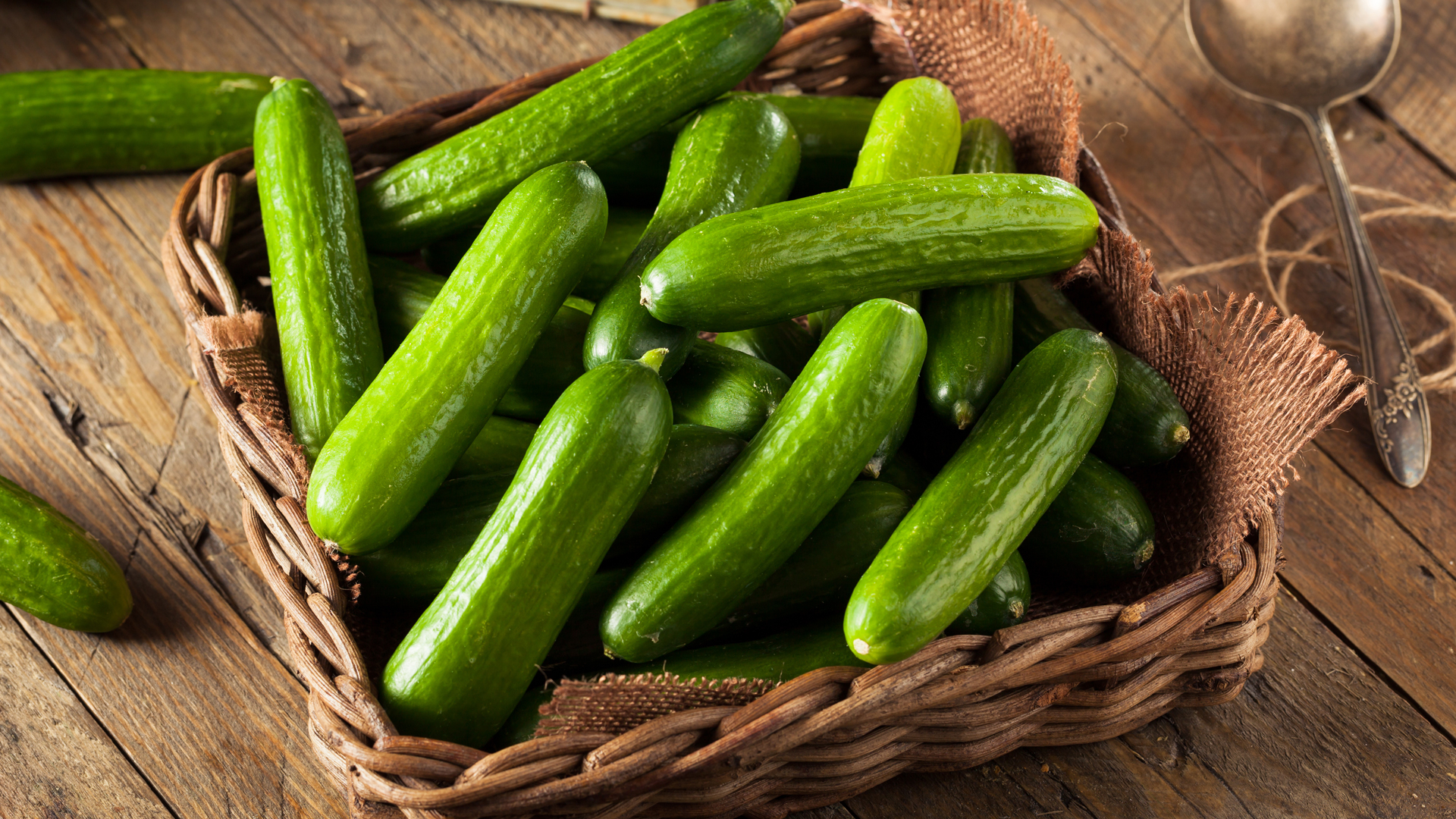 فوائد الخيار