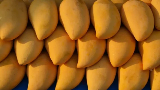 فوائد المانجو للرجل