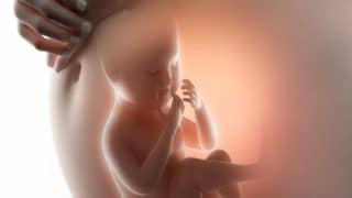 الجنين في الاسبوع الثالث والثلاثين