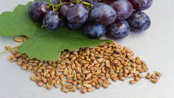 زيت بذور العنب للشعر