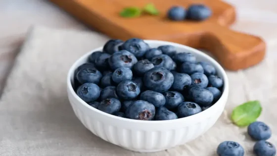 فوائد التوت البري الأزرق