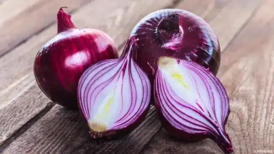 فوائد البصل الصحية