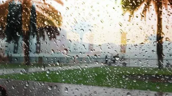 المطر الغزير في المنام