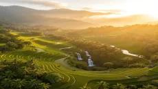 magnific aerial view of bali rice EqTU8nVuuO