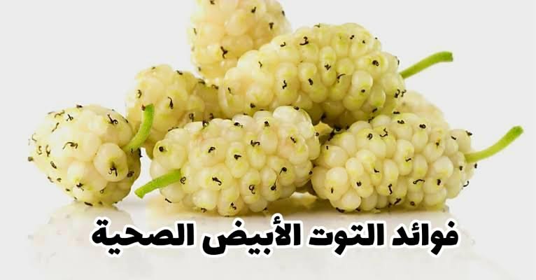 ما هي فوائد التوت الأبيض