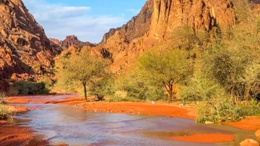 مدينة حائل