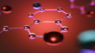 السيروتونين في الدماغ