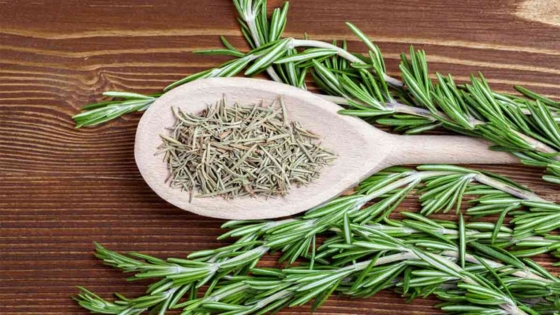 فوائد إكليل الجبل