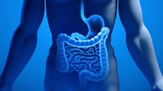 صحة الأمعاء