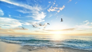 رؤية البحر في المنام