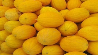 فوائد البطيخ الاصفر