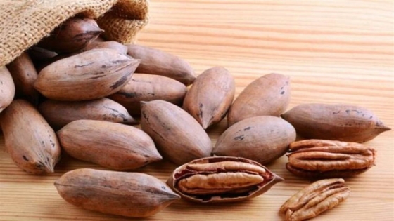 فوائد البقان