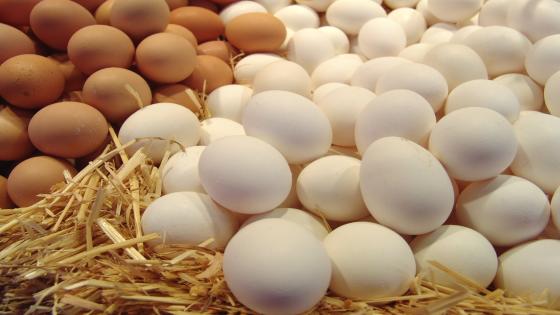 فوائد البيض للبشرة والشعر
