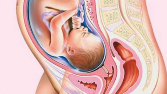 الأسبوع التاسع والثلاثون من الحمل