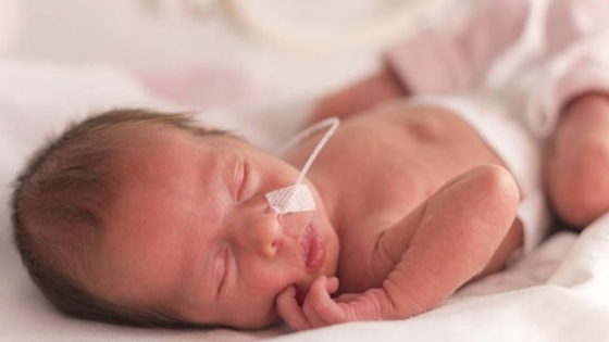 الأسبوع الثالث والثلاثون من الحمل