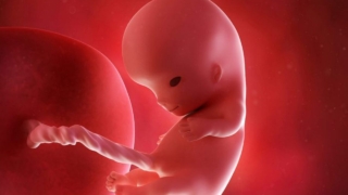 الأسبوع الثامن عشر من الحمل