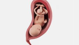 حالة الجنين والأم في الأسبوع الثامن والثلاثون من الحمل