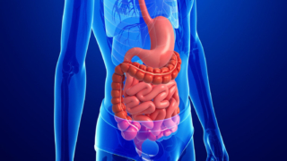 أمراض الجهاز الهضمي