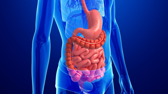 أمراض الجهاز الهضمي