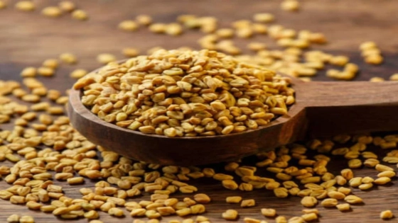 فوائد الحلبة