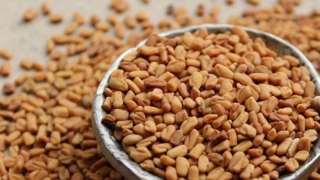 فوائد الحلبة للشعر