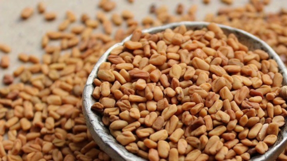 فوائد الحلبة للشعر