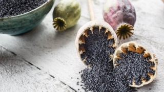 فوائد الخشخاش