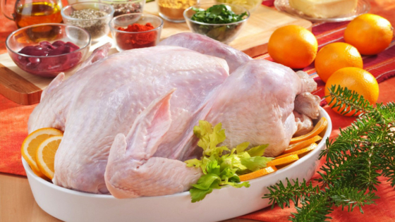 فوائد لحم الديك الرومي