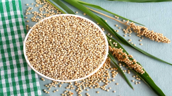 فوائد الذرة الرفيعة