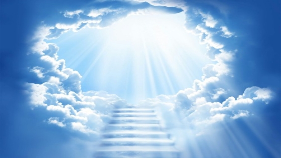 تفسير الرؤيا في المنام لابن سيرين