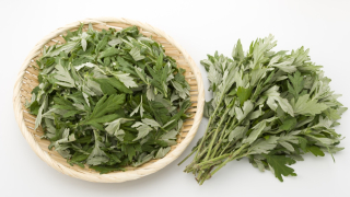 فوائد الشيح الحلو