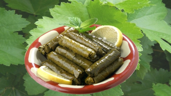 ورق العنب في المنام