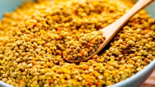 حبوب اللقاح للرجال